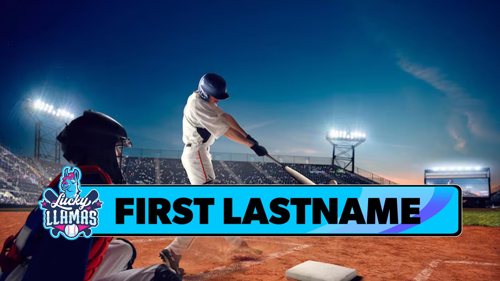 BB CG L3 Llamas full